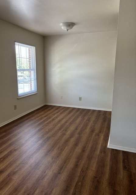 Gallery Photo 2